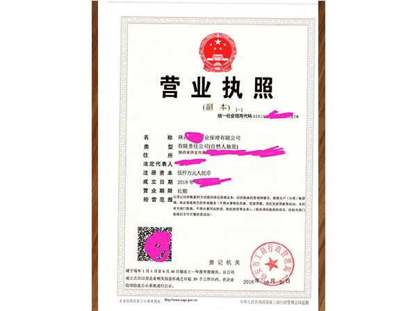 西安代办注册公司